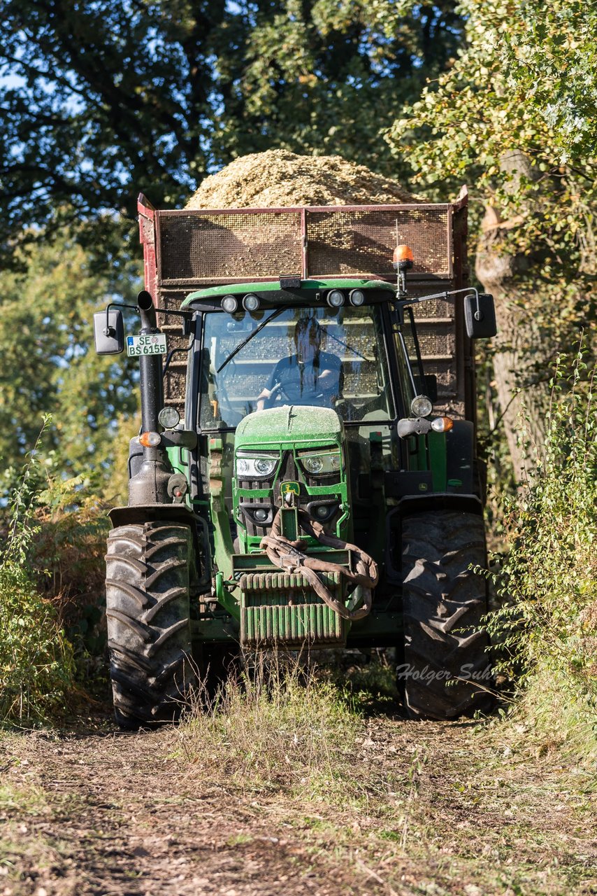 Bild 118 - Maisernte